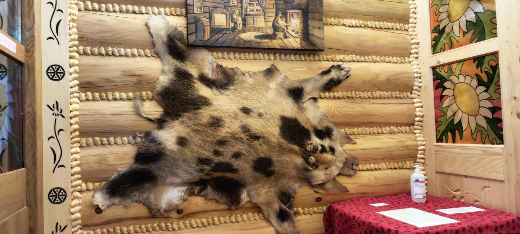 Chata Goralska I Pokoje Goscinne 切霍齐内克 外观 照片