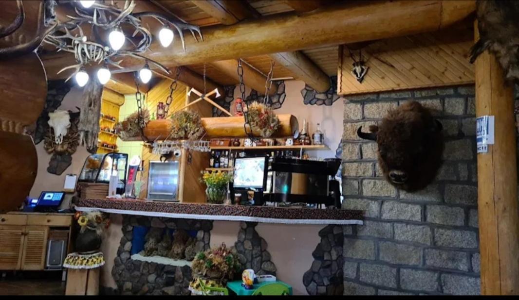 Chata Goralska I Pokoje Goscinne 切霍齐内克 外观 照片